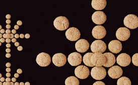 Galletas de Sésamo Doradas
