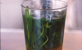 Té de menta
