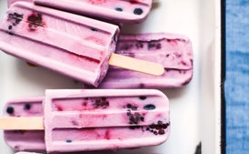 Paletas de Frutas del Verano con Leche de Coco